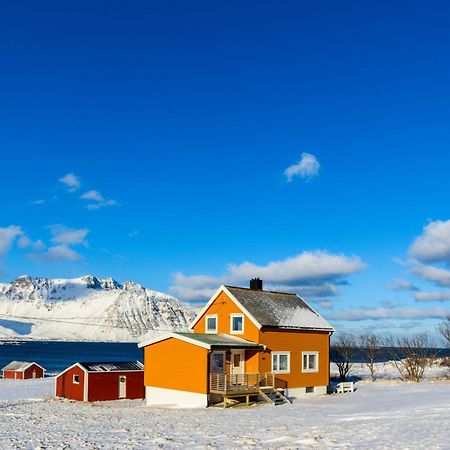 فيلا Lillevik Lofoten Gimsoy المظهر الخارجي الصورة