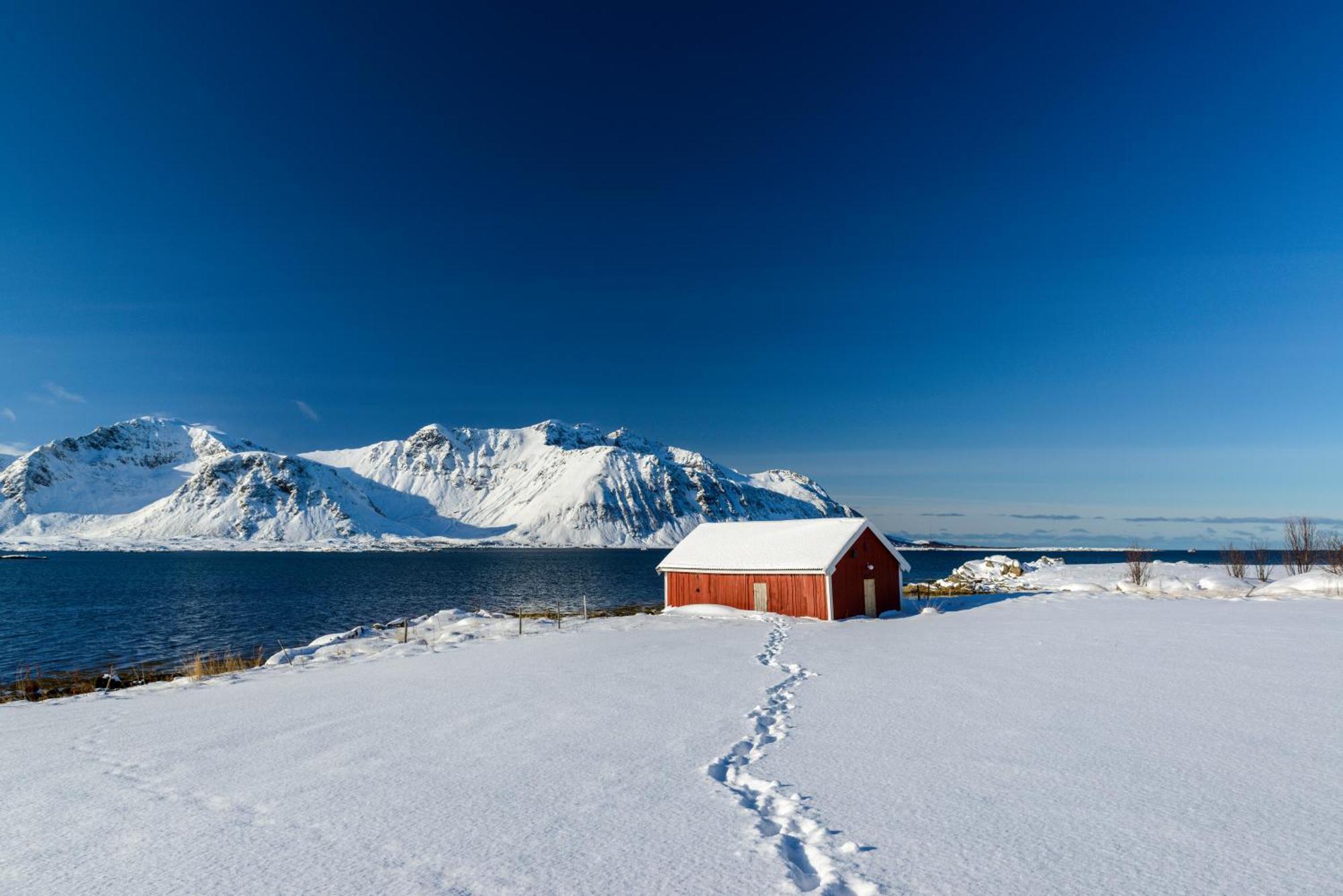 Lillevik Lofoten Gimsoy المظهر الخارجي الصورة